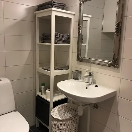 Raatuse 85 Deluxe Apartment *