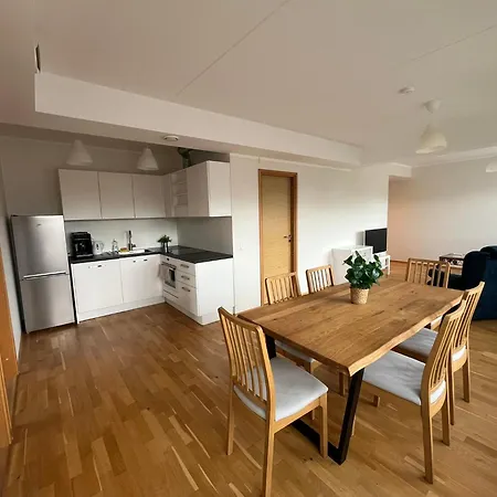 Raatuse 85 Deluxe Appartement *