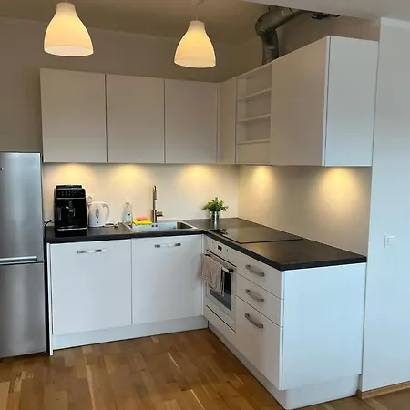 Raatuse 85 Deluxe Διαμέρισμα *