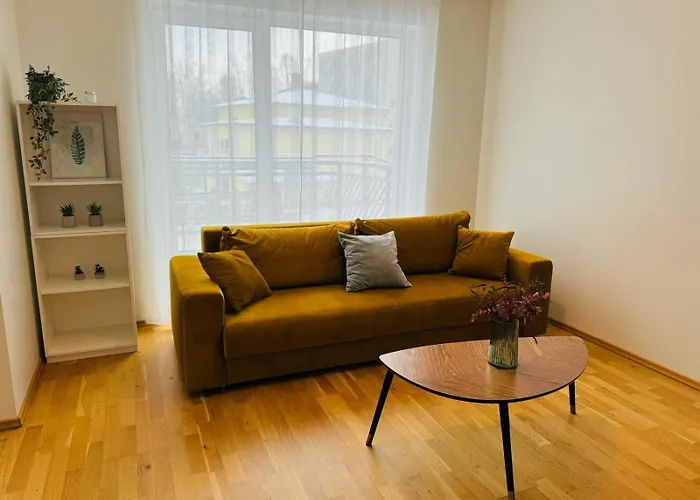 Apartment Raatuse 85 Deluxe