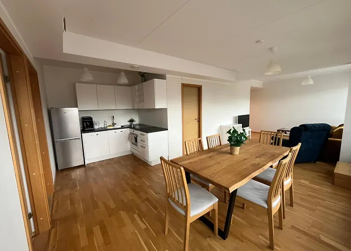 Raatuse 85 Deluxe Apartment *