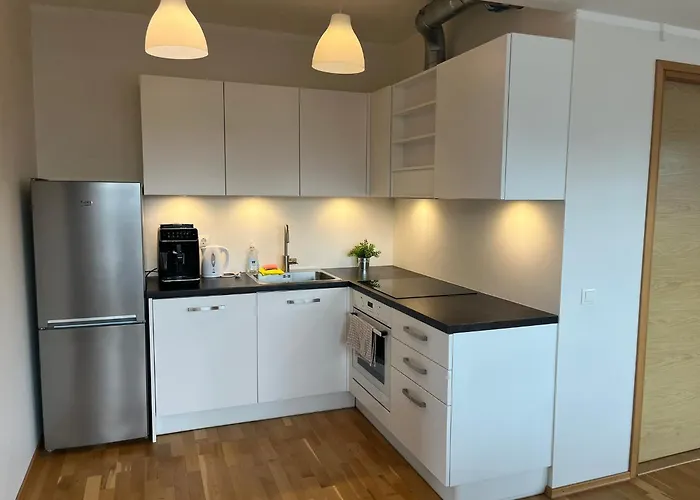 Raatuse 85 Deluxe Apartment *