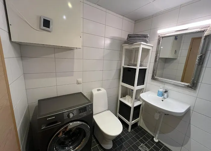 Raatuse 85 Deluxe Apartment Tartu